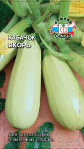Кабачок Якорь  купить