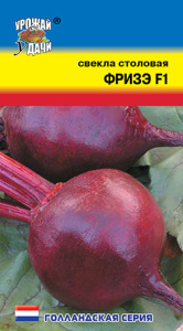 Свекла Фризэ (тип Пабло) купить