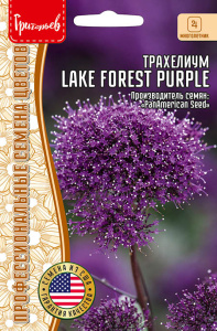 Трахелиум Lake Forest Purple 3 м.др. купить