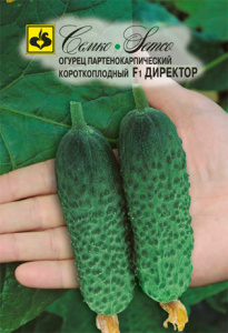 Огурец Директор F1 купить