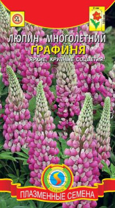 Люпин Графиня (розовый)  купить