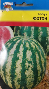 Арбуз Фотон сахарный купить