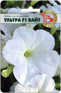 Петуния Ультра F1 Вайт  крупноцветковая купить