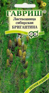 Лиственница Сибирская Бригантина  купить