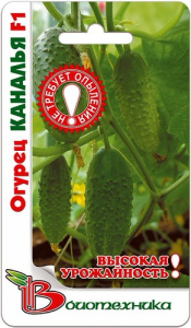 Огурец  Каналья F1 купить