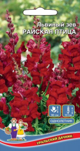 Львиный Зев Райская Птица  купить