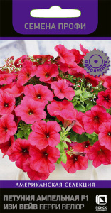 Петуния Изи Вейв F1 Берри Велюр ампельная  купить