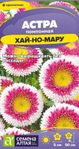 Астра Хай-но-мару помпонная купить