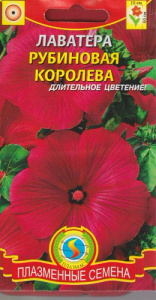 Лаватера Рубиновая королева  купить