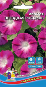 Ипомея пурпурная Звездная Россыпь  купить