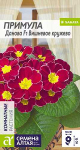 Примула Данова Вишневое кружево  купить