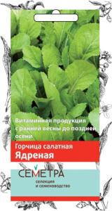 Горчица Ядреная салатная купить