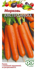Морковь Амстердамска купить
