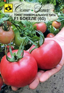 Томат Бокеле (60) F1  купить