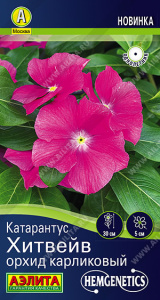 Катарантус Хитвейв орхид карликовый купить