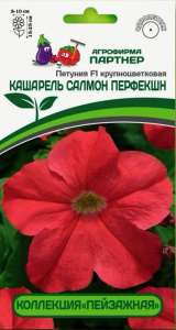 Петуния Кашарель F1 Салмон Перфекшн10шт крупноцветковая компактная купить