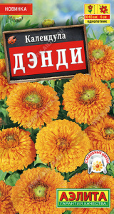 Календула Денди  купить