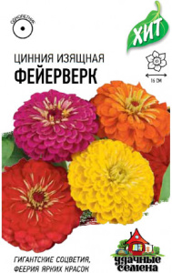 Цинния Фейерверк, смесь ХИТ х3 купить