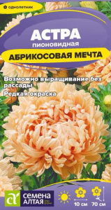 Астра Абрикосовая Мечта купить