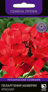 Пеларгония зональная Маверик Красная купить