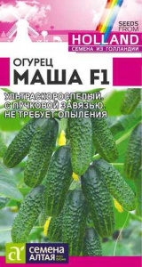 Огурец Маша F1 Seminis  купить