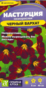 Настурция Черный бархат купить