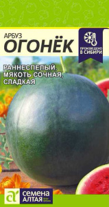 Арбуз Огонёк  купить