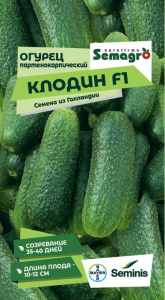 Огурец Клодин F1  купить
