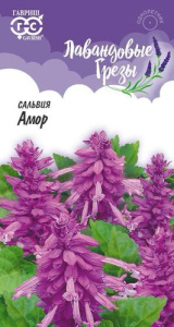 Сальвия сверкающая Амор  купить