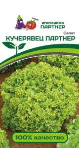 Салат Кучерявец  Партнер  купить