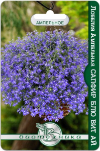 Лобелия Сапфир Блю вит Ай ампельная купить