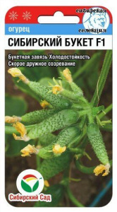 Огурец Сибирский букет F1 купить