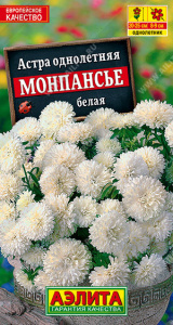 Астра Монпансье белая купить