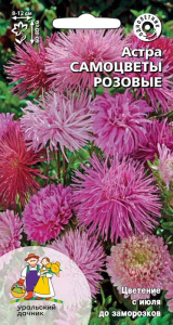 Астра Самоцветы розовые купить