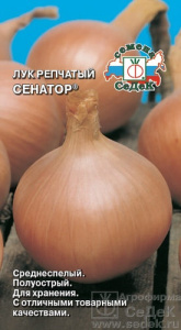 Лук (репчатый) Сенатор  купить