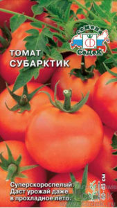 Томат Субарктик  купить