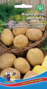 Картофель (семена) Импала купить
