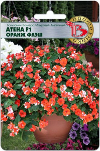 Бальзамин Валлера Атена F1 Оранж Флеш купить