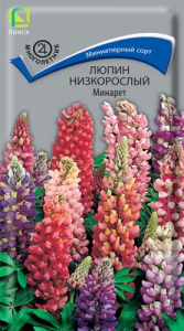 Люпин низкорослый Минарет купить