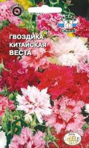 Гвоздика китайская Веста, смесь цветов  купить