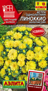 Астра Пиноккио золотистая /Цветущий балкон купить