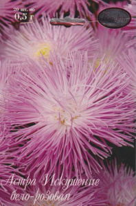 Астра Искушение бело-розов./1шт  купить