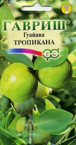 Гуайава Тропиканка  купить