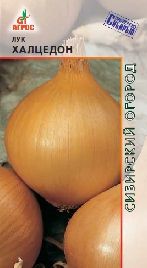 Лук (репчатый) Халцедон 1,0г купить