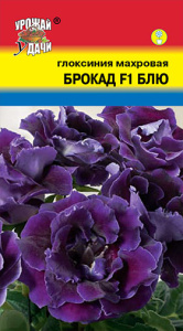 Глоксиния Брокад Блю F1 махровая купить
