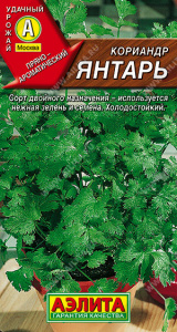 Кориандр Янтарь купить