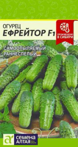 Огурец Ефрейтор F1  купить