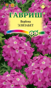 Вербена Элизабет  купить