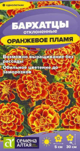Бархатцы Оранжевое пламя купить