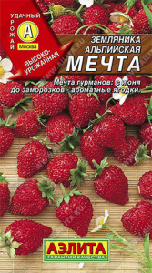 Земляника Мечта альпийская  купить